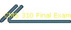 CMS 310 Final Exam